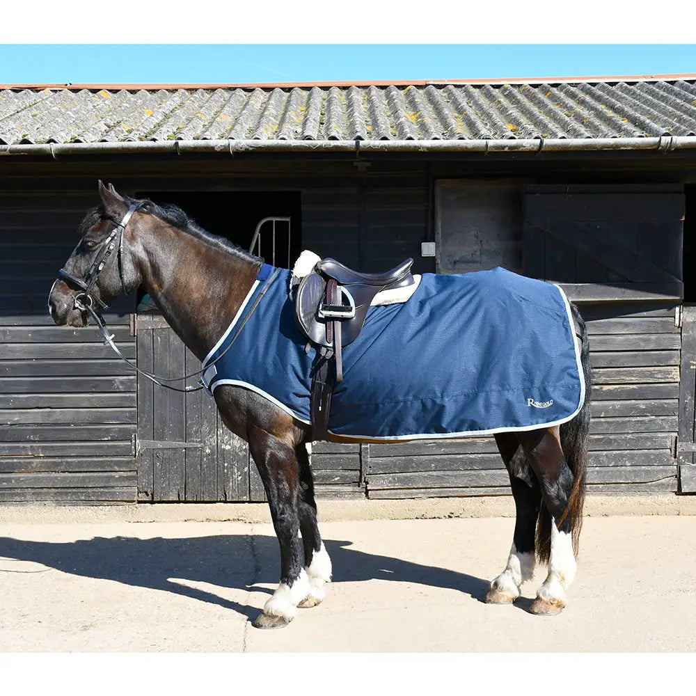Navy blue rhinegold fixed chest waterproof horse blanket with white trim on dark brown horse in front of stable