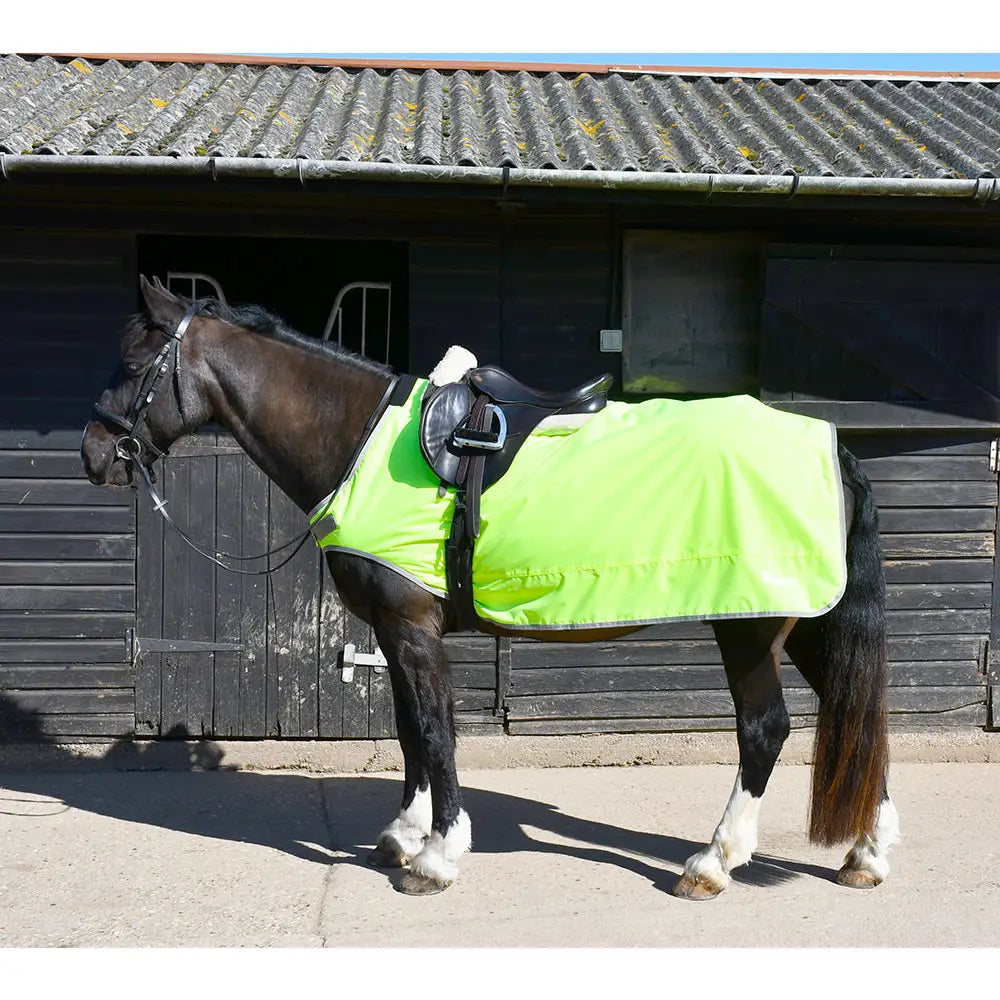 Bright lime green rhinegold fixed chest waterproof ride-on rug with reflective trim on dark brown horse