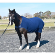 Rhinegold Fleece Horsewalker / Lunge Rug 5'0 Horse Walker Rugs