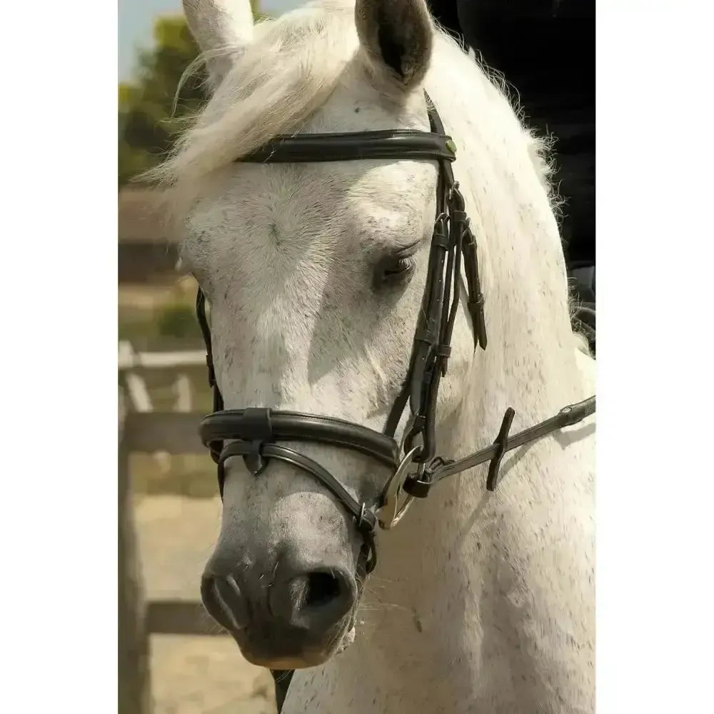 Rhinegold German Leather Bridle With Detachable Flash Noseband Black Cob Bridles