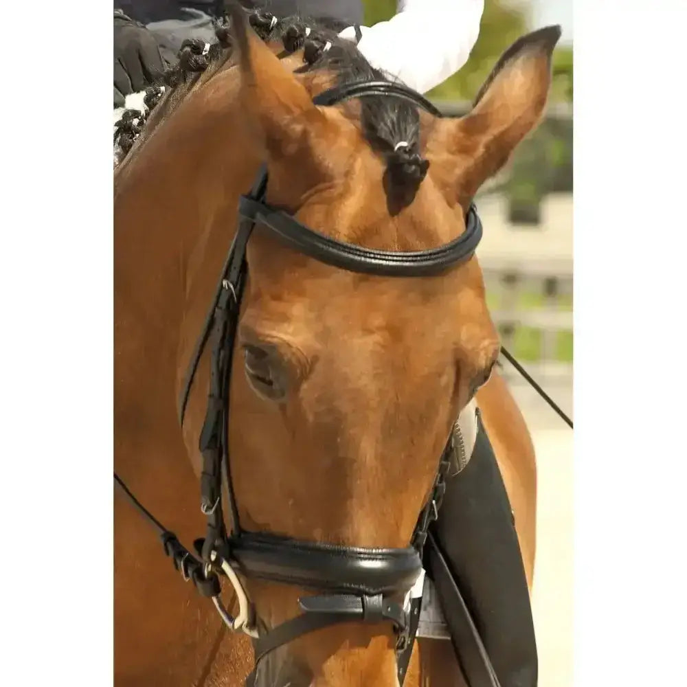Black leather rhinegold german leather comfort bridle with flash noseband and adjustable straps polished finish
