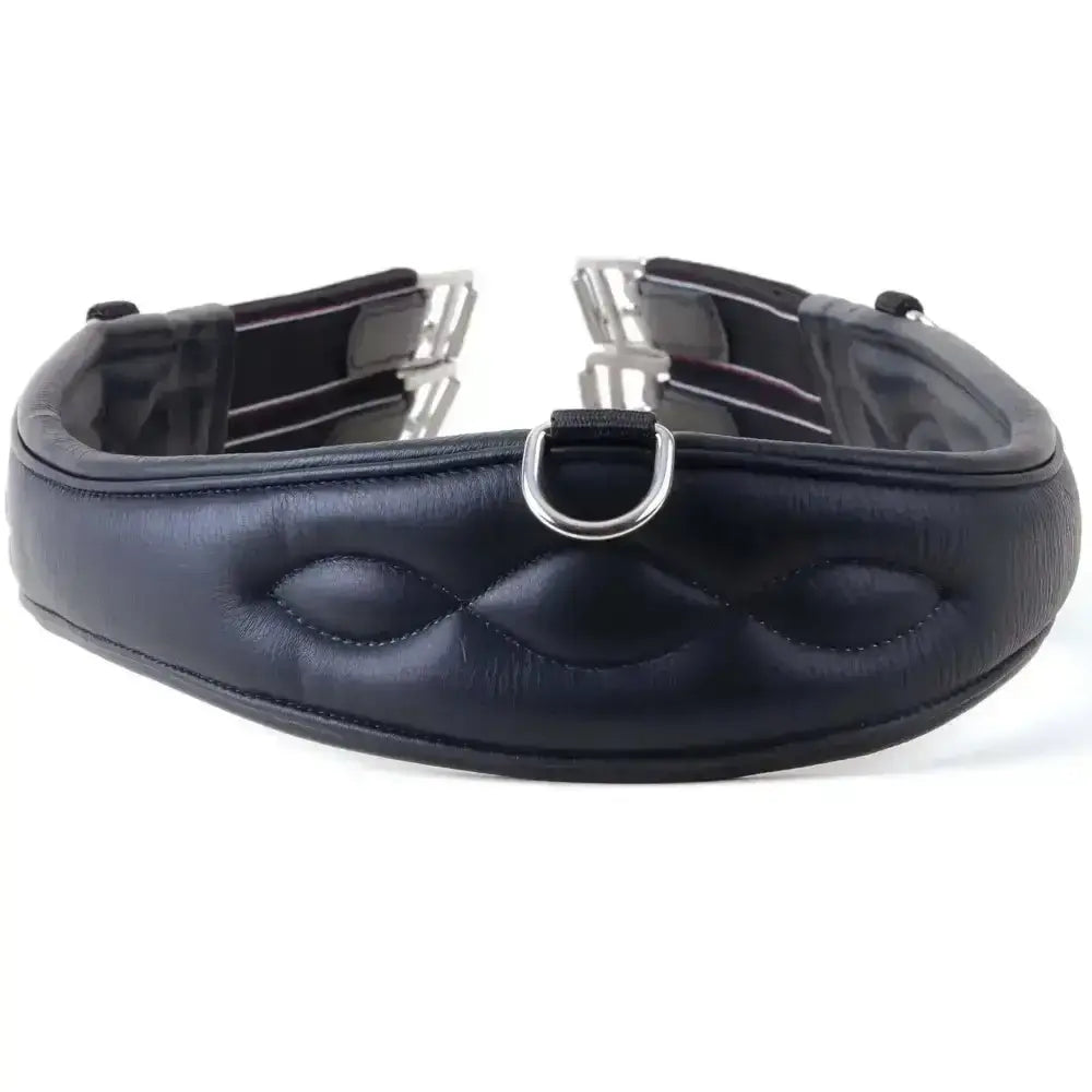 Black leather horse bridle with silver hardware and padded quilted design from rhinegold german leather softee comfort line