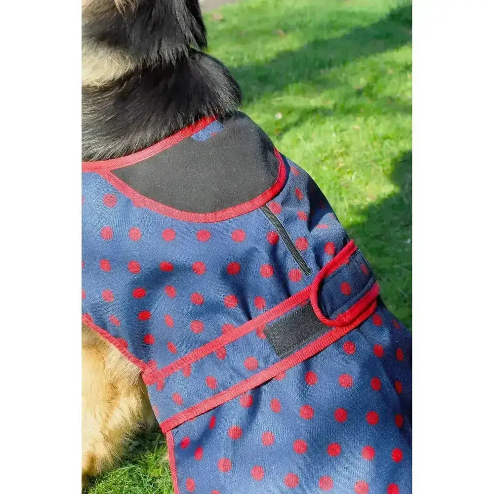 Navy blue polka dot rhinegold highland waterproof dog coat with red trim and black 600denier waterproof ripstop panels