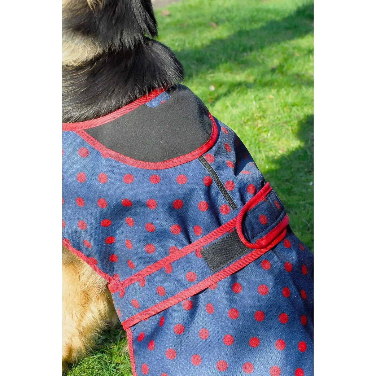 Rhinegold Highland Waterproof Dog Coats Navy Large Rhinegold Dog Barnstaple Equestrian Supplies