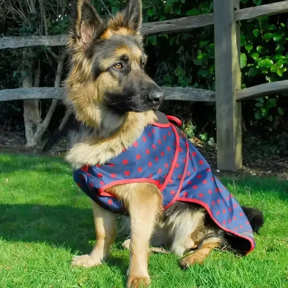 Rhinegold Highland Waterproof Dog Coats Navy/Red Spot Large Dog Coat