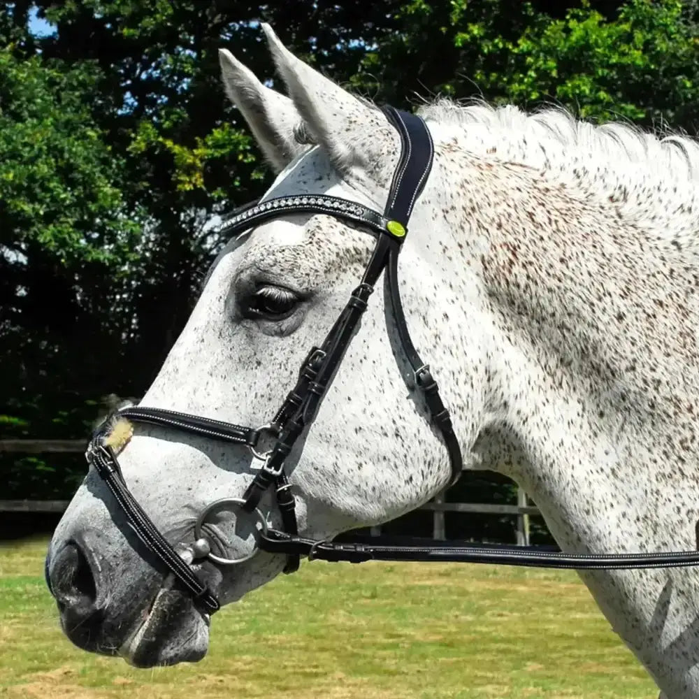 Black leather rhinegold italian leather anatomical bridle with silver studs and green accent button for horses