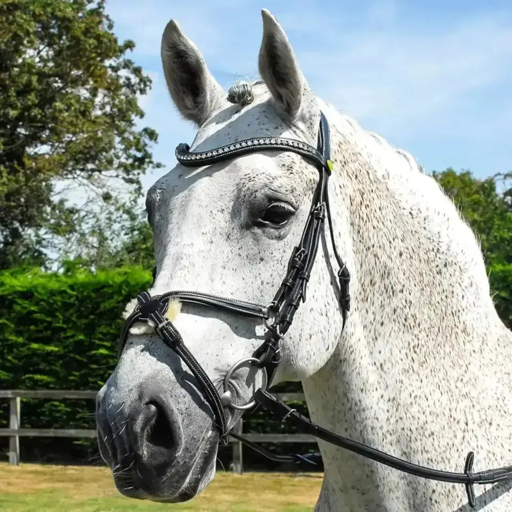 Black leather Rhinegold Italian leather anatomical bridle with silver rhinestones and Mexican noseband