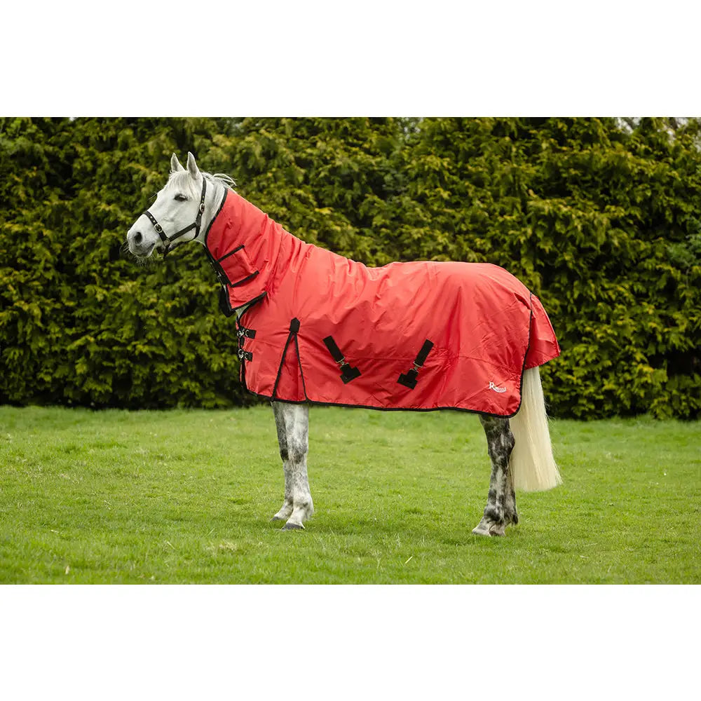 Red rhinegold konig 200g medium weight turnout rug with waterproof fabric black straps and full neck design