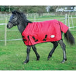 Rhinegold Konig Foal 200g Medium Weight Turnout Rug Standard Red 3'9" Turnout Rugs