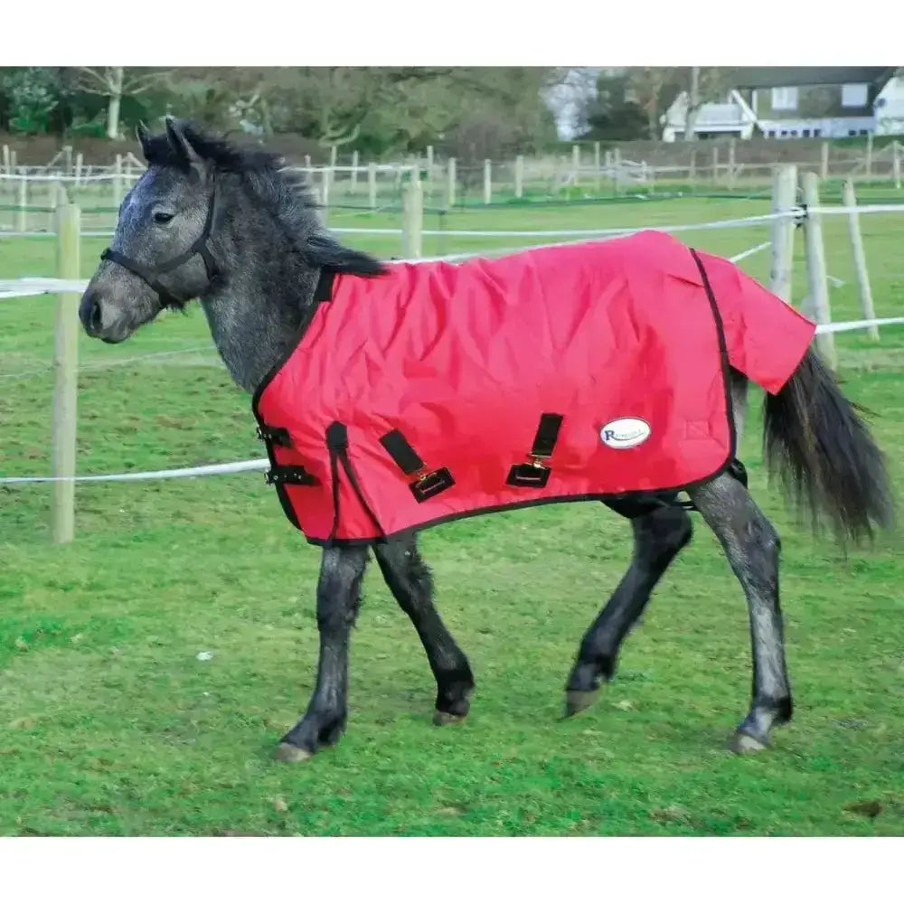 Bright red rhinegold konig foal medium weight turnout rug with black trim and adjustable straps featuring white logo