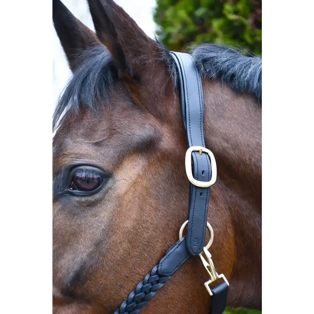 Rhinegold Lazio Plaited Leather Headcollar & Lead Pony Black Leather Headcollars