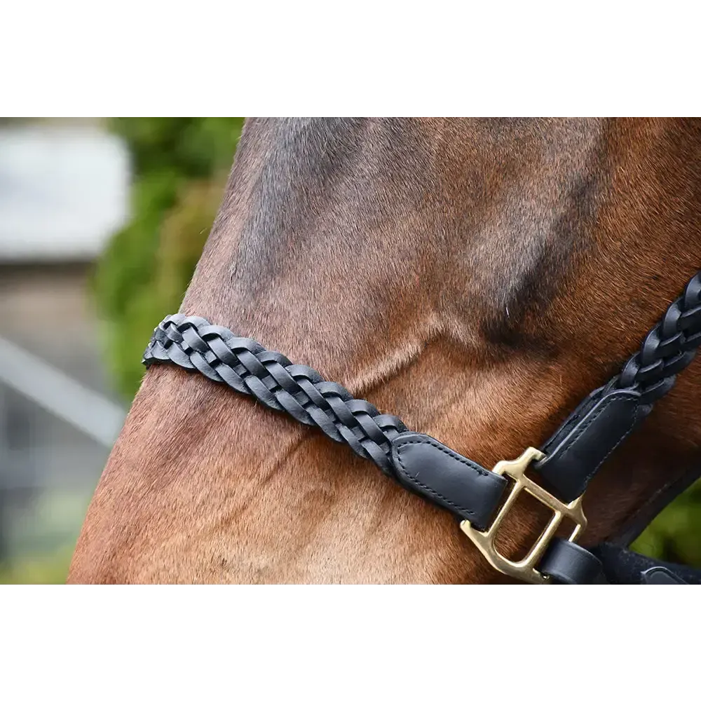 Rhinegold Lazio Plaited Leather Headcollar & Lead Pony Black Leather Headcollars
