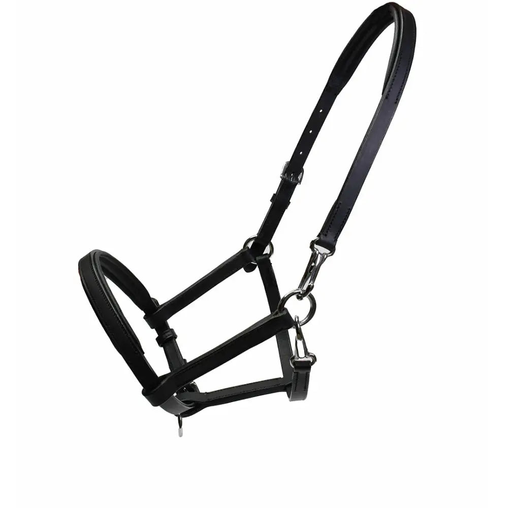 Black leather rhinegold leather foal yearling slip with silver hardware and padded crown for young horses