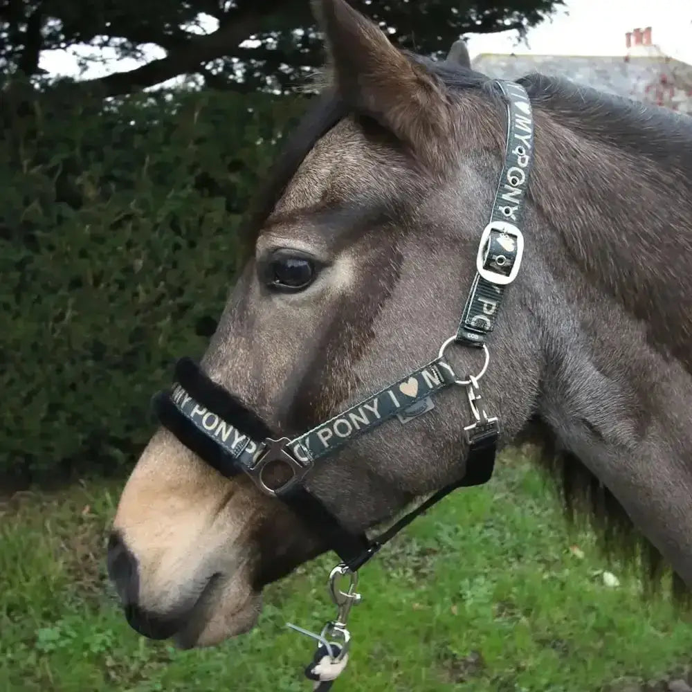 Black rhinegold love pony headcollar with white lettering and silver hardware featuring a fur padded noseband