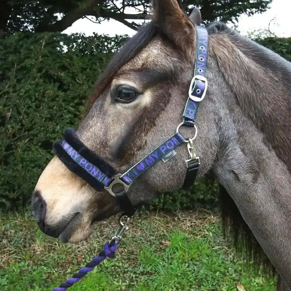 Purple and black patterned pony headcollar with fur padded noseband from rhinegold love my pony set