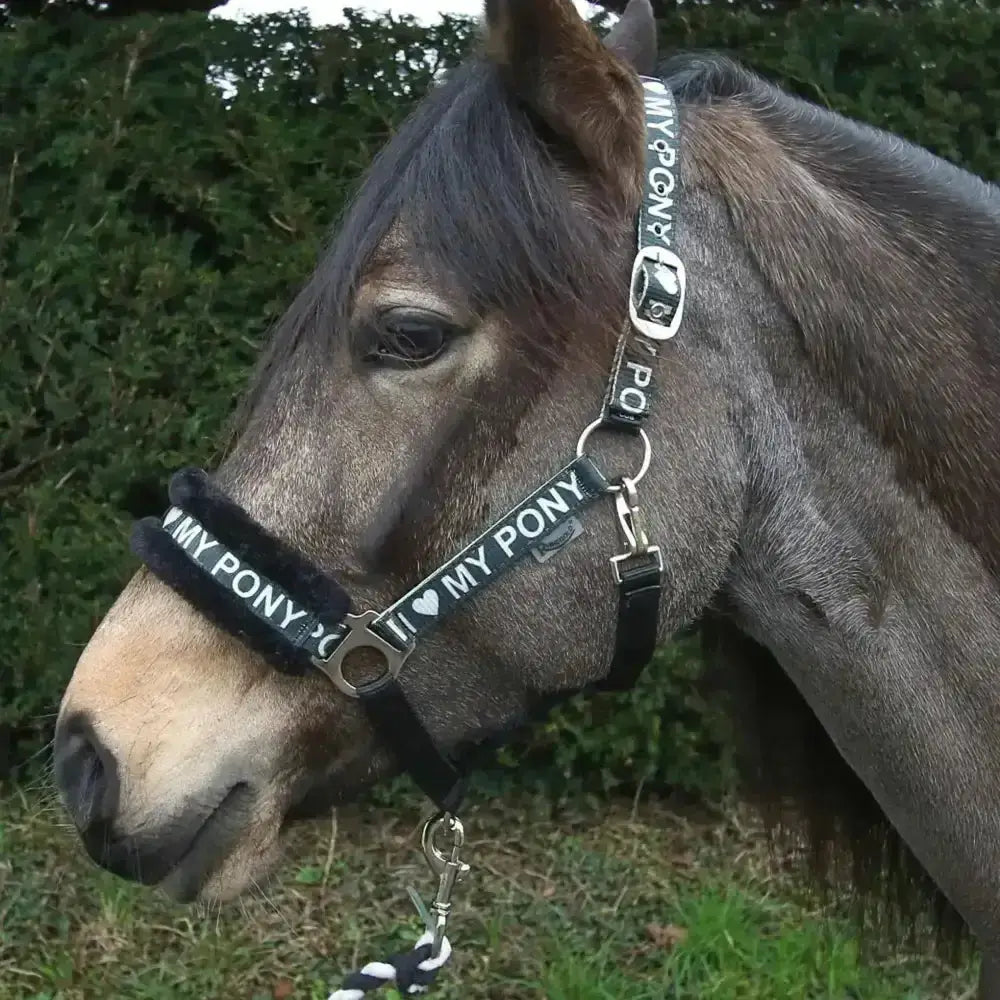 Black rhinegold love pony headcollar with fur padded noseband and silver hardware plush trim for comfort
