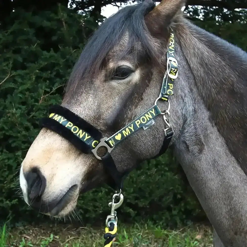 Black and neon green rhinegold love pony headcollar with fur padded noseband and plush lining for comfort