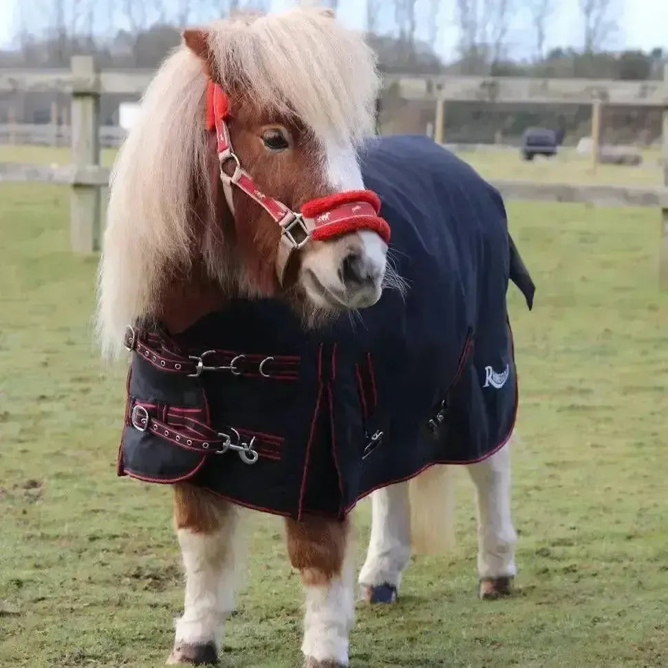 Rhinegold Mini Thor 350g Heavy Weight Turnout Rugs Black 3'6" Turnout Rugs