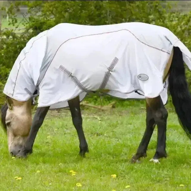 White horse blanket with gray stitching and adjustable straps rhinegold mombasa waterproof topline fly rug with neck cover