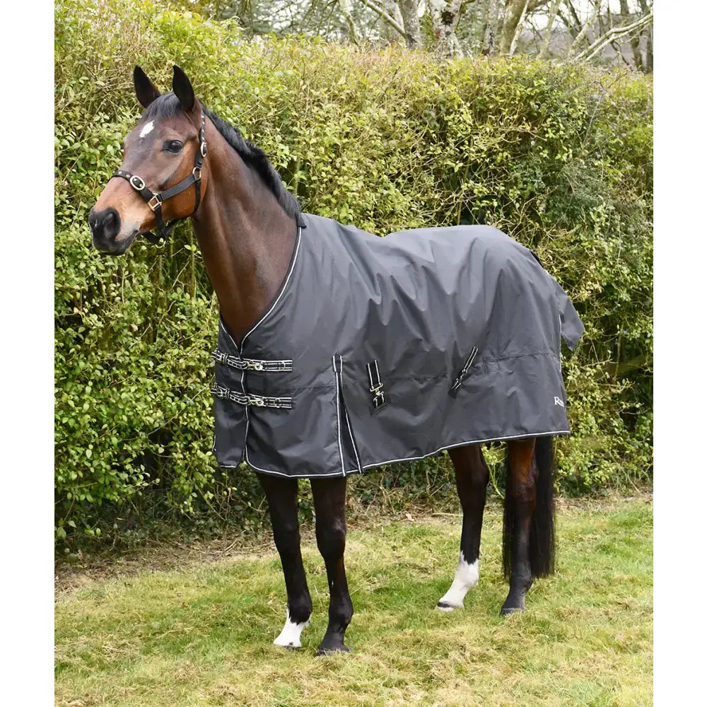 Dark gray rhinegold nevada 50g lightweight turnout rug with white trim and silver buckles for outdoor use