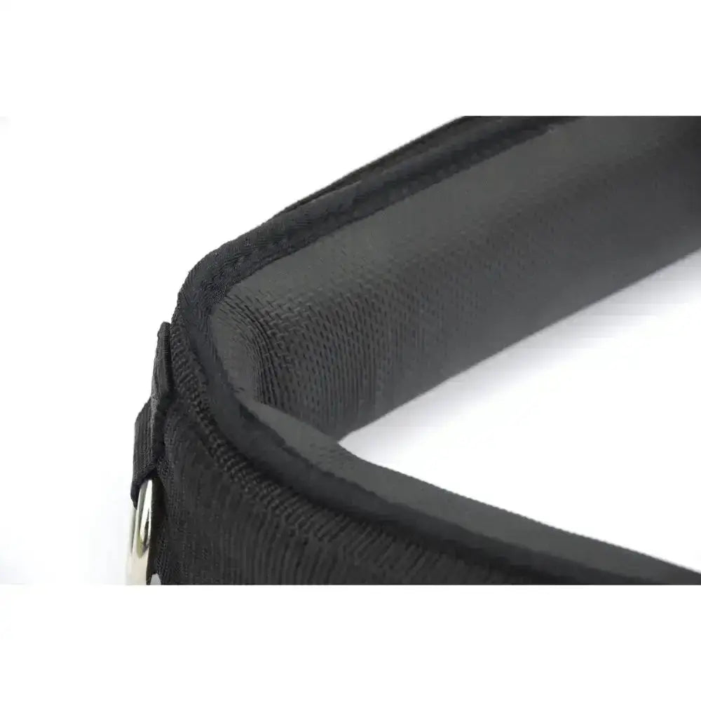 Black padded weightlifting belt with reinforced stitching and metal d-ring to attach lunging aids rhinegold nylon lunging