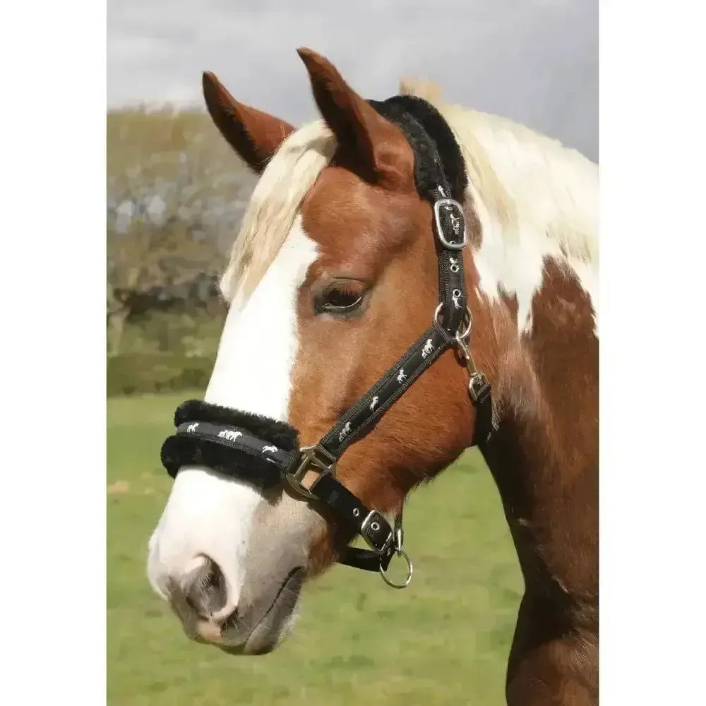 Rhinegold Padded Logo Headcollar Black Cob Headcollars
