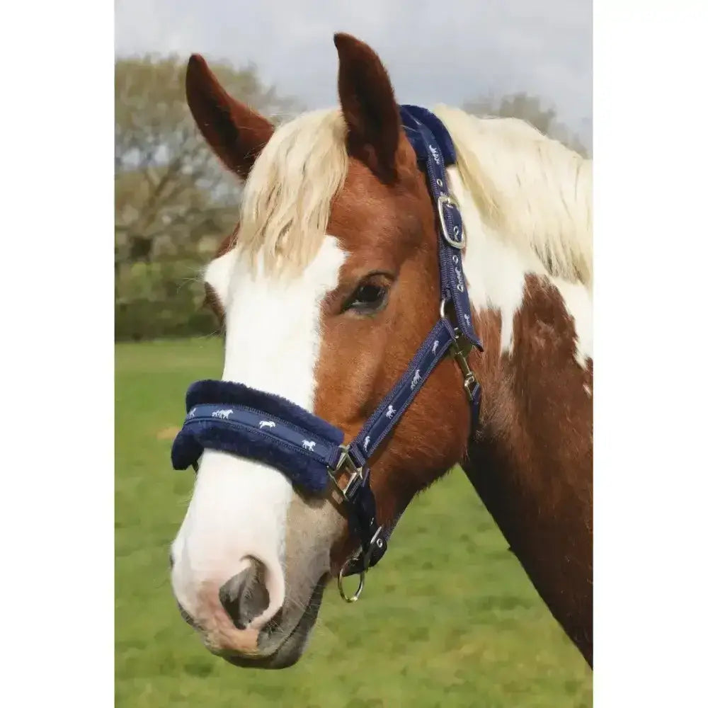 Navy blue rhinegold padded logo headcollar with white horse silhouette silver horse logo and fully adjustable headpiece
