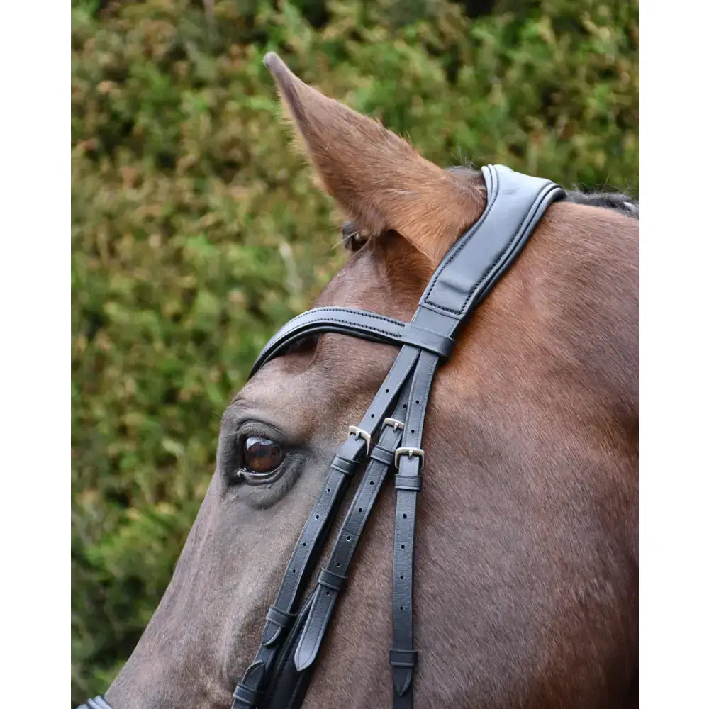 Black leather rhinegold softee anatomically shaped flash bridle with silver buckles for comfortable horse riding