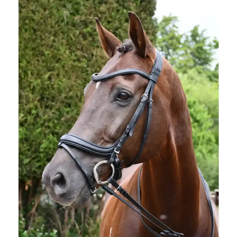 Rhinegold Softee Pro-Anatomic Flash Bridle Cob Black Anatomical Bridles