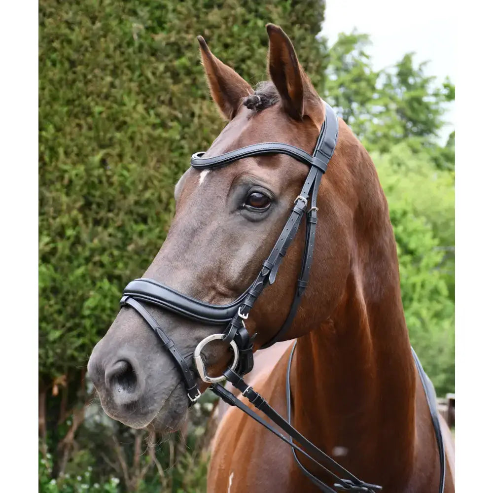 A sleek black leather rhinegold softee anatomically shaped flash bridle with silver hardware for comfortable riding