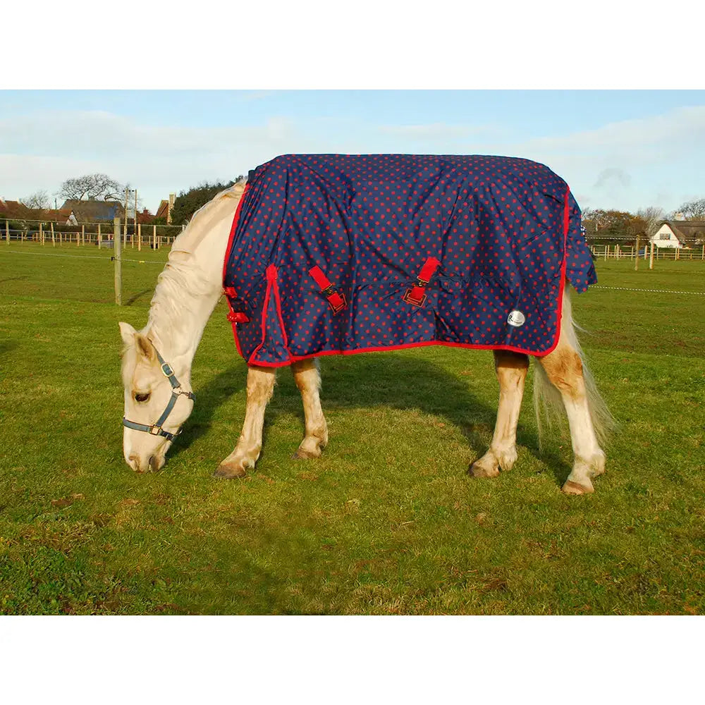Navy blue rhinegold star and dottie bolivia outdoor lightweight horse blanket with red trim and adjustable buckles