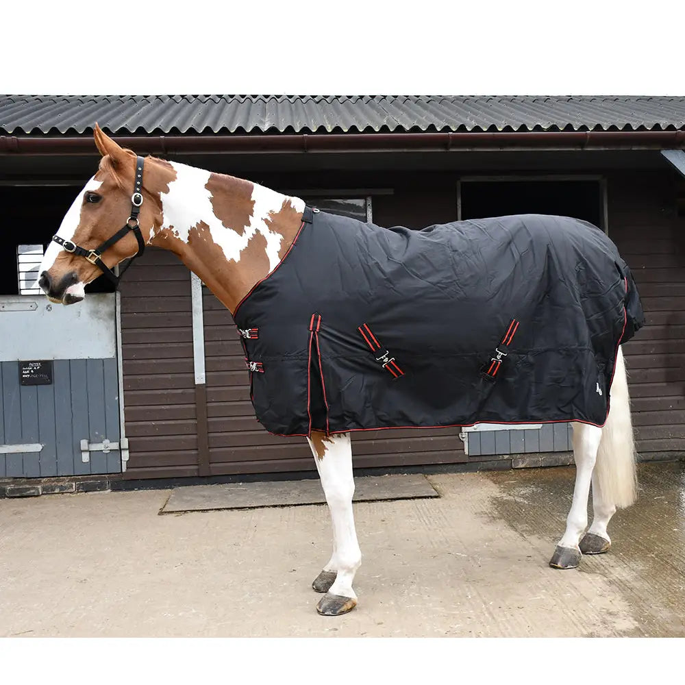 Black rhinegold thor 350g heavy horse blanket with red trim and adjustable straps for heavy weight turnout use