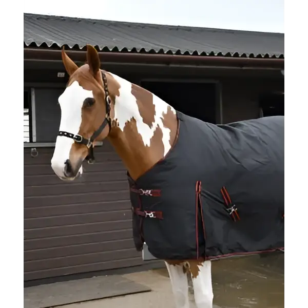 Black horse blanket with red trim and silver buckles rhinegold thor 350g heavy weight turnout rug