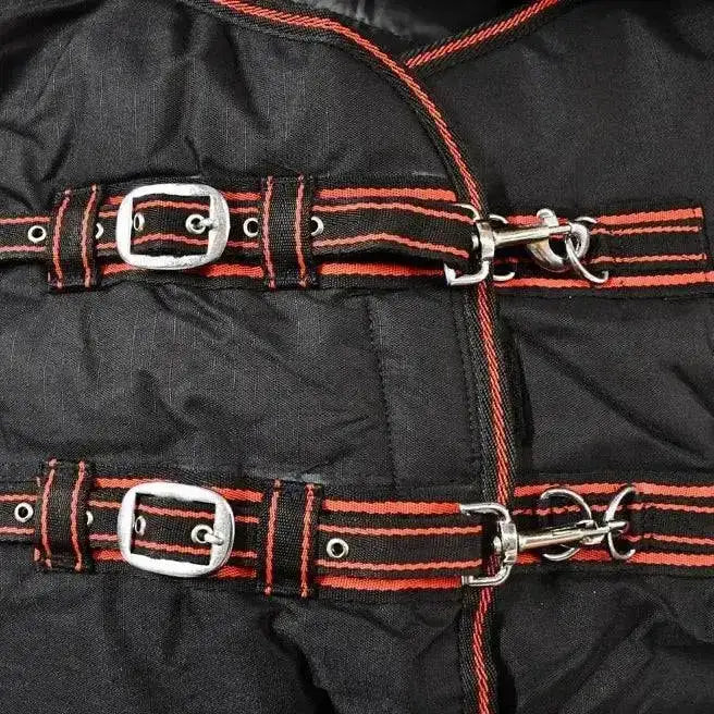 Black quilted rhinegold thor 350g heavy weight turnout rug with red striped straps and silver buckles on the back side