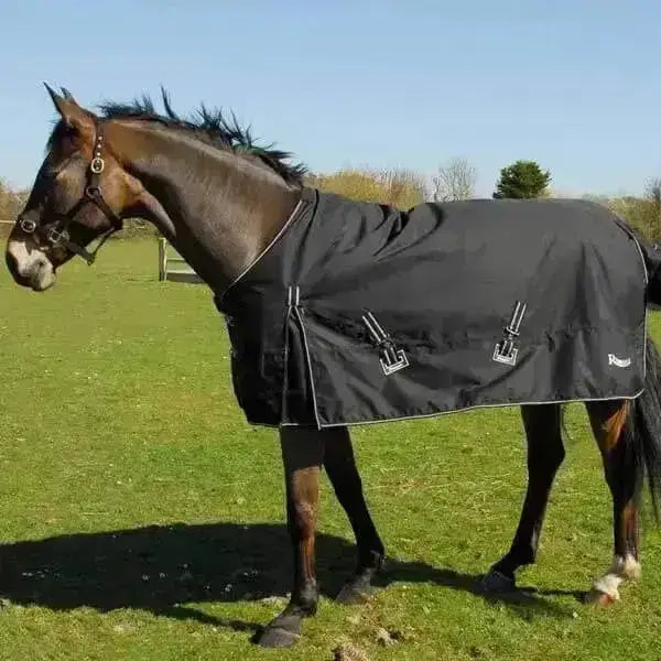 Black rhinegold torrent turnout rug with white reflective trim and silver buckles lightweight turnout rug