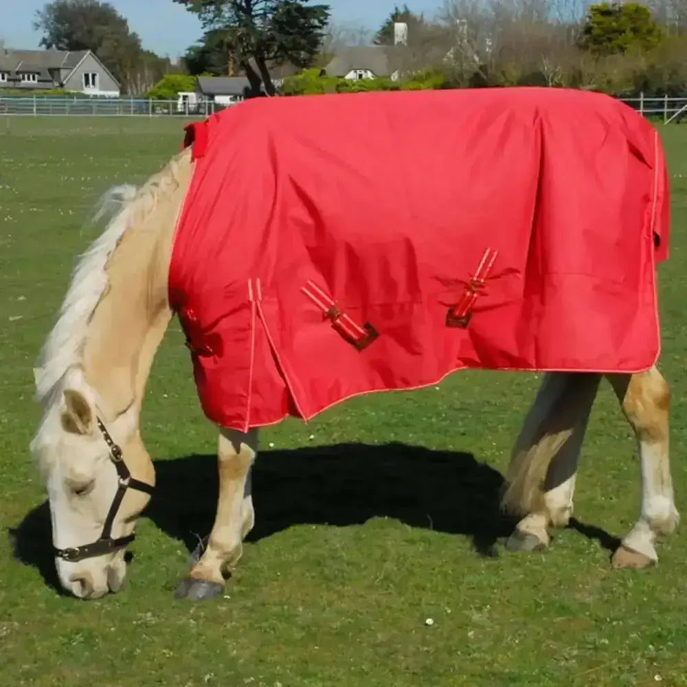 Bright red rhinegold torrent turnout lightweight turnout rug with sturdy brown buckles and simple functional design