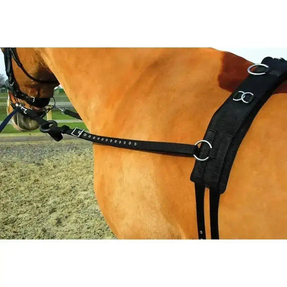 Black leather rhynegold training horse harness with silver rings and buckles for lunging systems and breaking kit