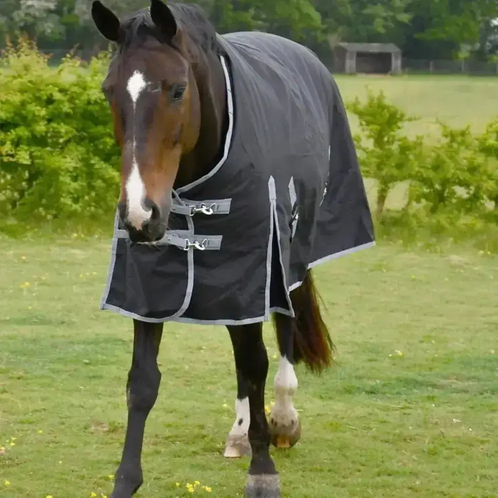 Black rhinegold turnout rug konig 200g medium weight with gray trim and silver buckles for horses
