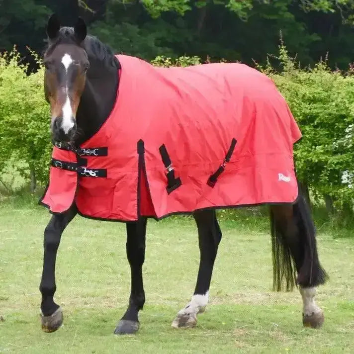 Bright red rhinegold turnout rug konig 200g medium weight with black straps and buckles for warmth and protection