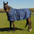 Rhinegold Turnout Rugs Arizona 100g Light Weight Standard Neck 4'6" Turnout Rugs