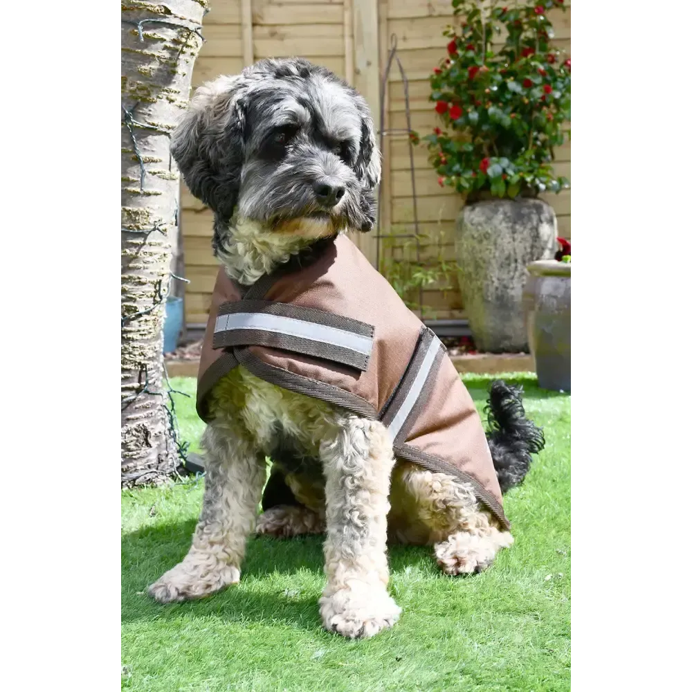 Rhinegold Waterproof Dog Coat Brown 10"(25cm) Dog Coat