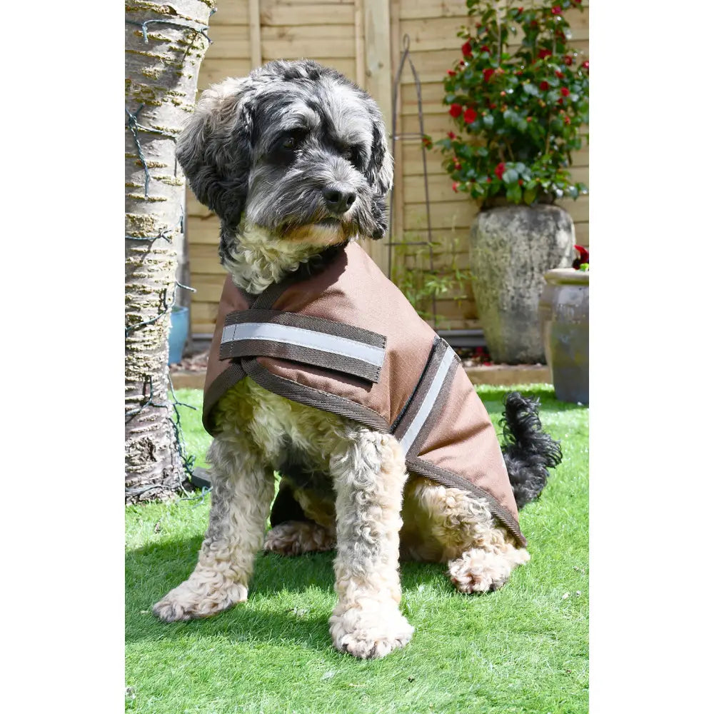 Brown rhinegold waterproof dog coat with reflective silver stripes and touch tape shown from the back side