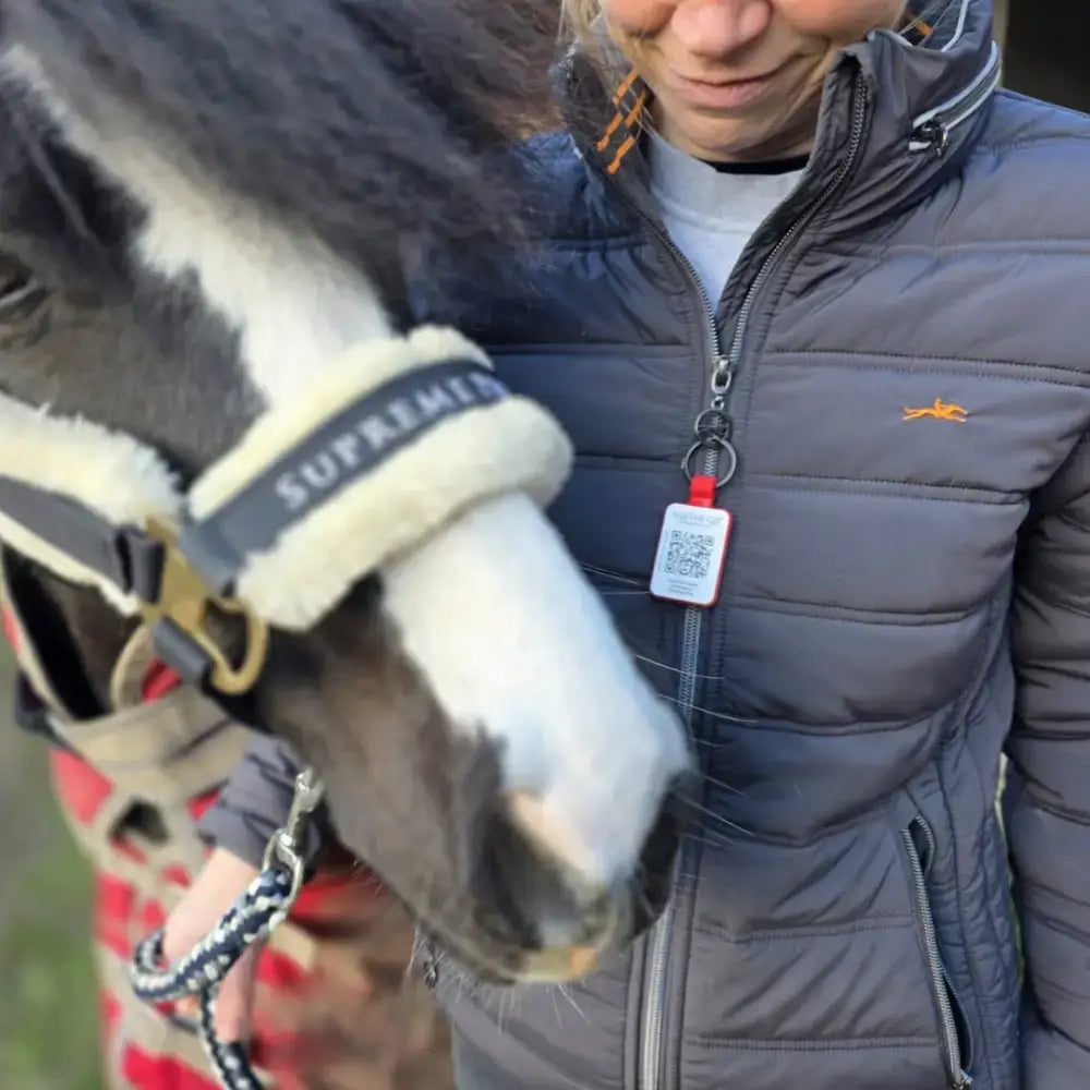 A black and white horse wearing a supreme halter with fluffy trim showcasing a rider emergency tag enduro for rider safety