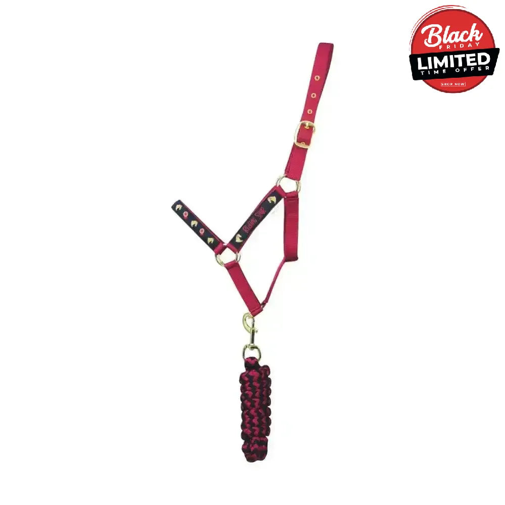 Riding Star Collection Head Collar & Lead Rope Set by Little Rider Colour Cob Headcollar Sets