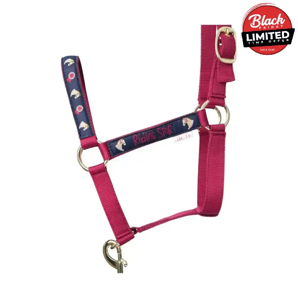 Riding Star Collection Head Collar & Lead Rope Set by Little Rider Colour Cob Headcollar Sets