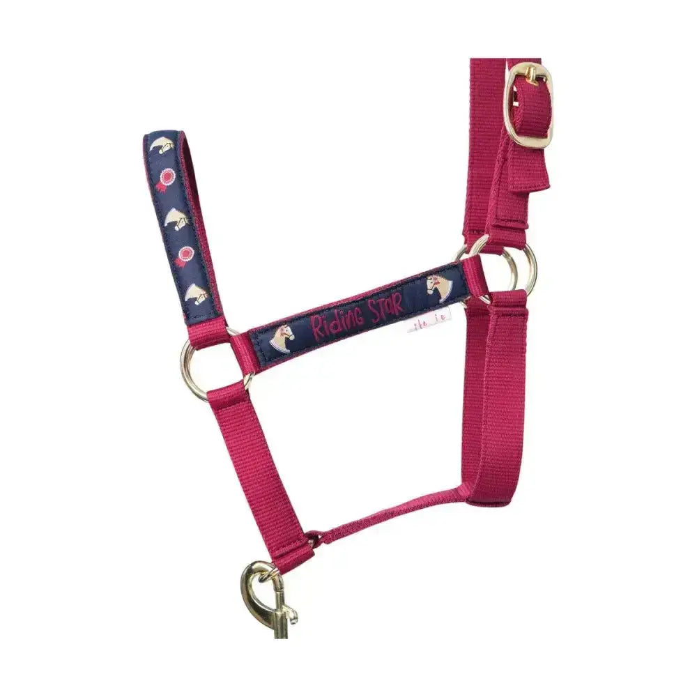 A vibrant fuchsia riding star collection head collar and lead rope set with navy accents and gold hardware by little rider
