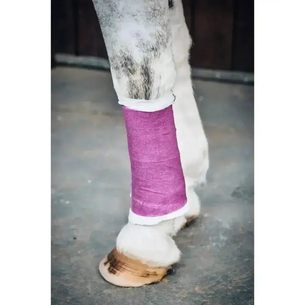 Purple woven robinsons healthcare equiwrap bandage with white trim wrapped around a horse lower leg vet wrap robinsons