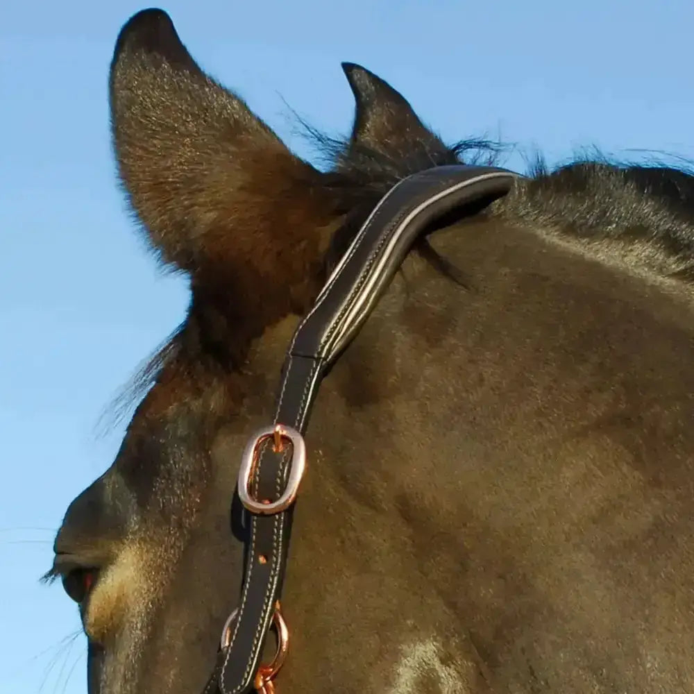 Black leather rocco italia turin luxury padded leather headcollar with rose gold hardware and white stitching