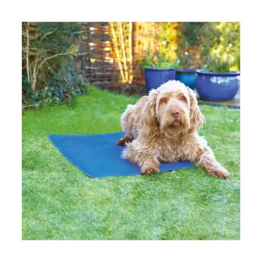 Blue rosewood pet cool mat on grass perfect for keeping pets comfortable on warm summer days