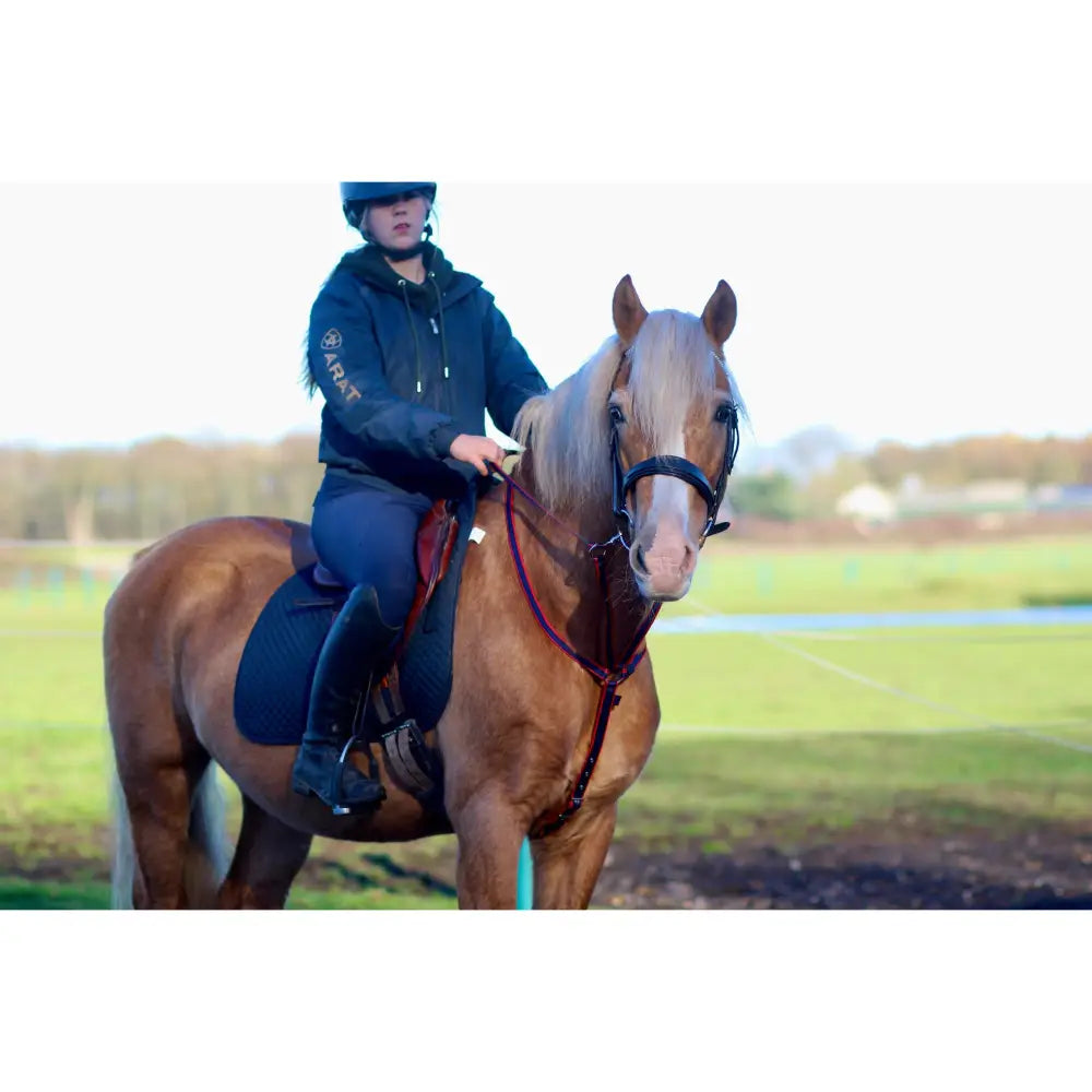 A light brown horse with blonde mane wearing libbys running martingale made from black 25mm webbing on a small pony